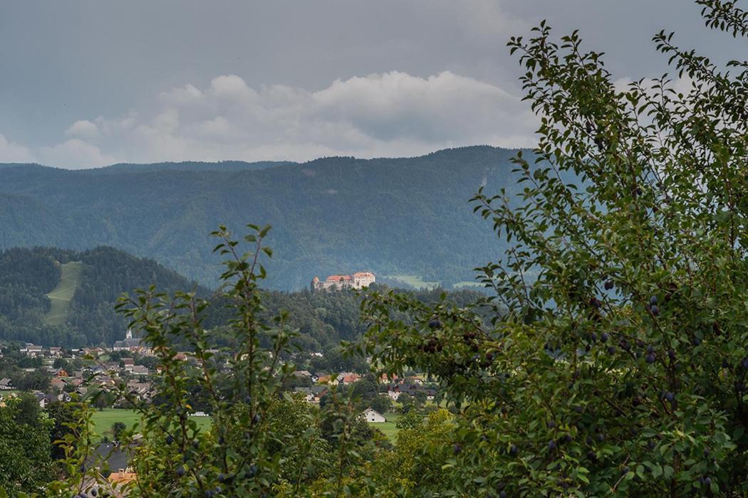 Apartmaji Gorenc Блед Экстерьер фото
