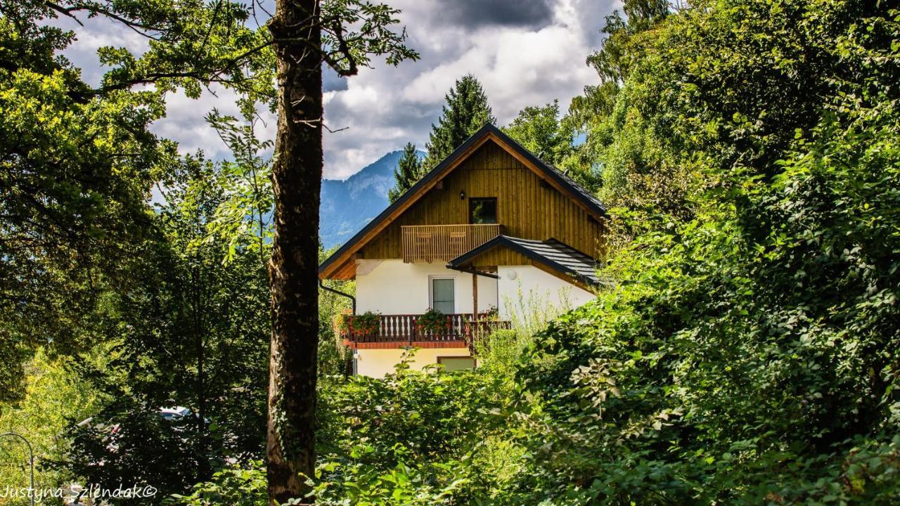 Apartmaji Gorenc Блед Экстерьер фото